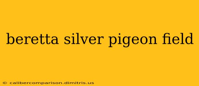 beretta silver pigeon field