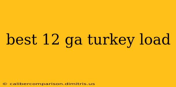 best 12 ga turkey load