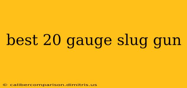 best 20 gauge slug gun