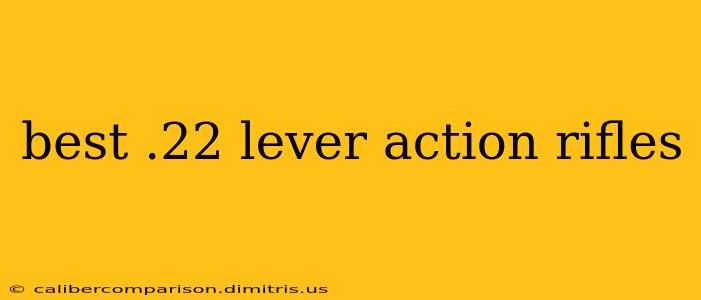 best .22 lever action rifles