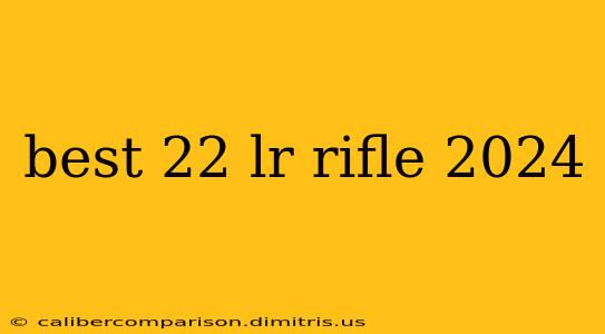 best 22 lr rifle 2024