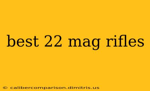 best 22 mag rifles