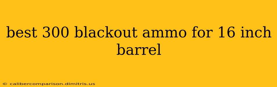 best 300 blackout ammo for 16 inch barrel