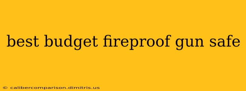 best budget fireproof gun safe