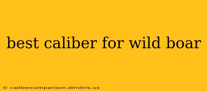 best caliber for wild boar