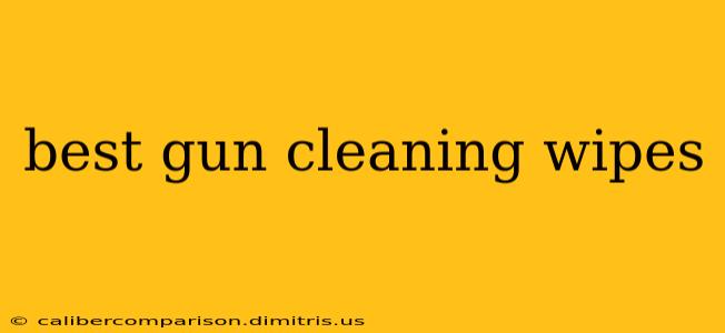 best gun cleaning wipes