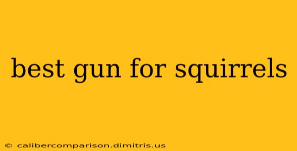 best gun for squirrels