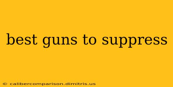 best guns to suppress