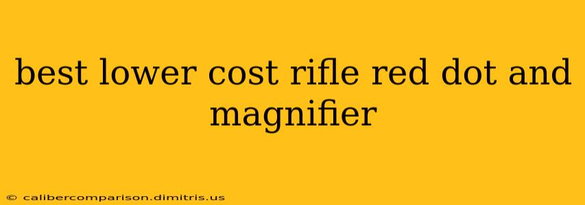 best lower cost rifle red dot and magnifier