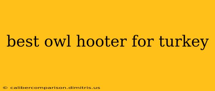 best owl hooter for turkey