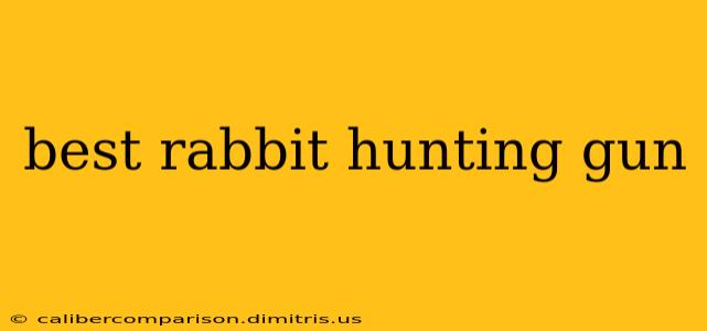 best rabbit hunting gun