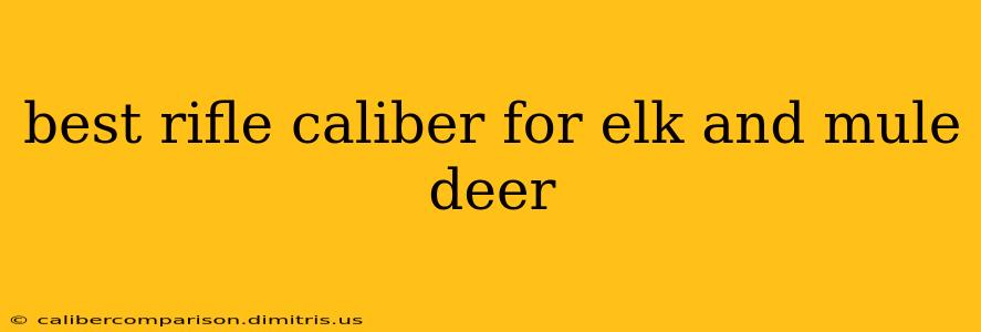 best rifle caliber for elk and mule deer