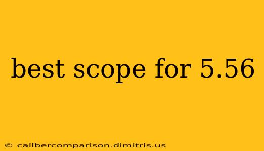 best scope for 5.56