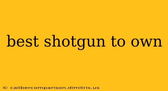 best shotgun to own