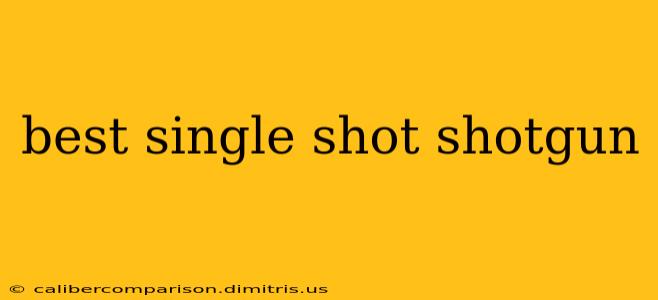 best single shot shotgun