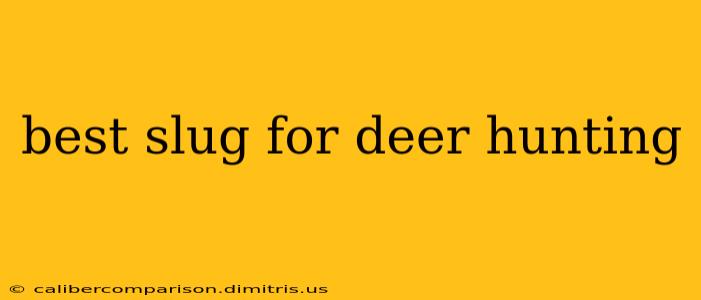 best slug for deer hunting