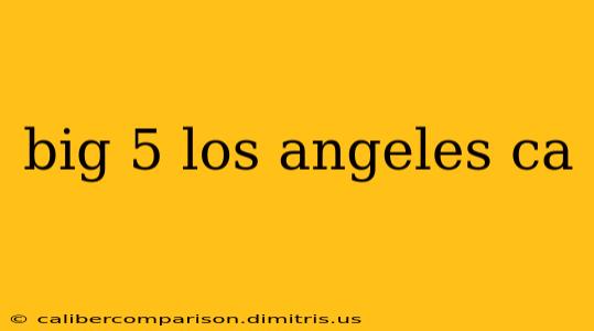 big 5 los angeles ca