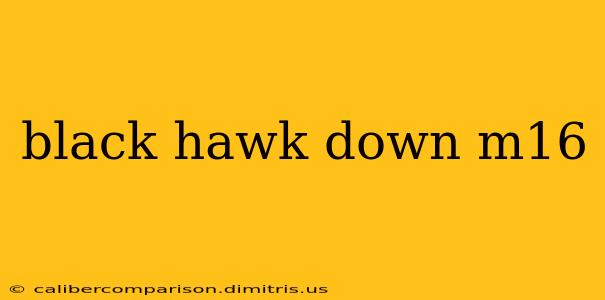 black hawk down m16