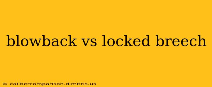 blowback vs locked breech