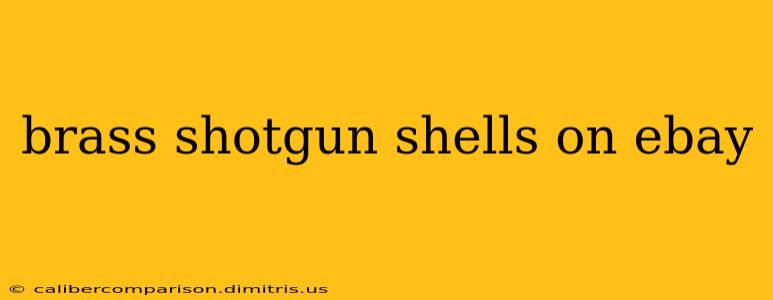 brass shotgun shells on ebay