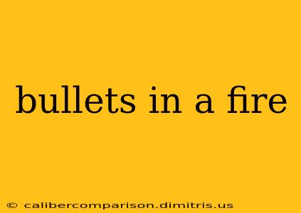 bullets in a fire