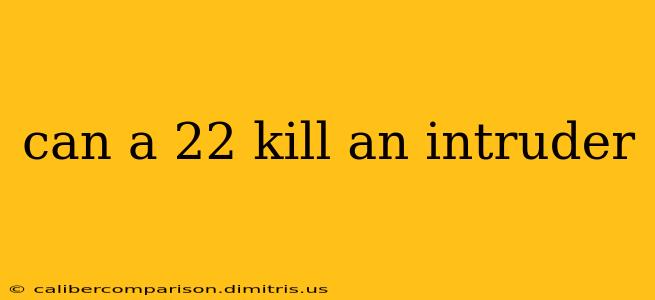 can a 22 kill an intruder