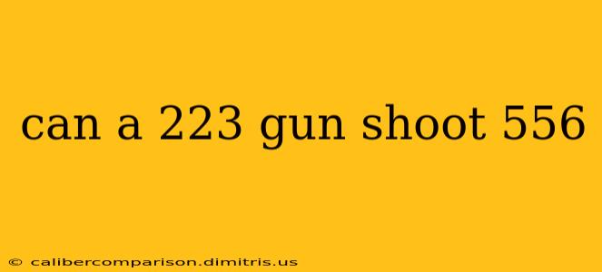 can a 223 gun shoot 556