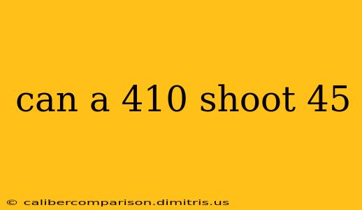 can a 410 shoot 45