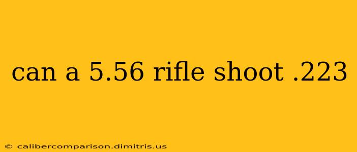 can a 5.56 rifle shoot .223