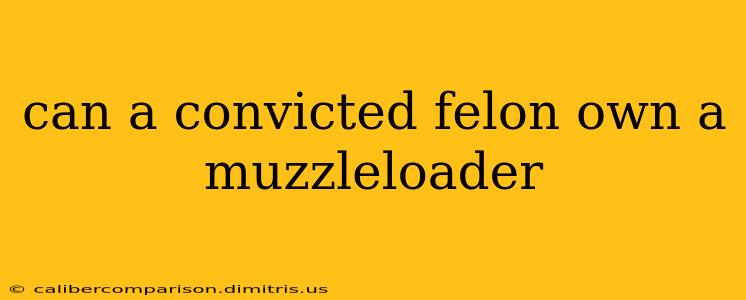 can a convicted felon own a muzzleloader