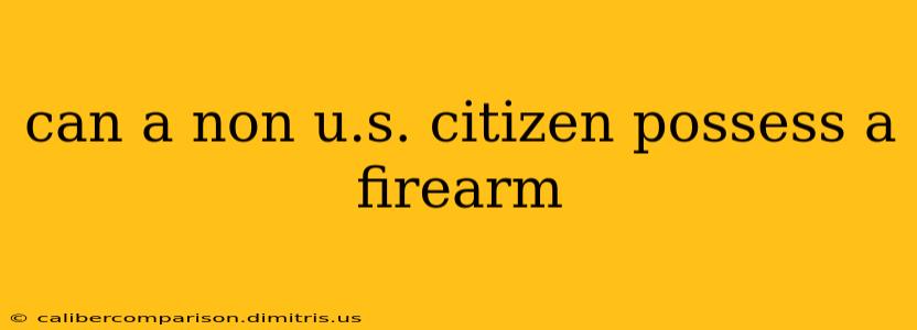 can a non u.s. citizen possess a firearm