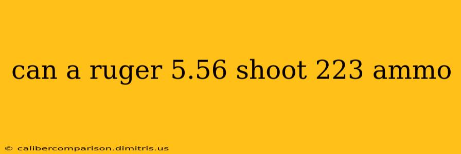 can a ruger 5.56 shoot 223 ammo