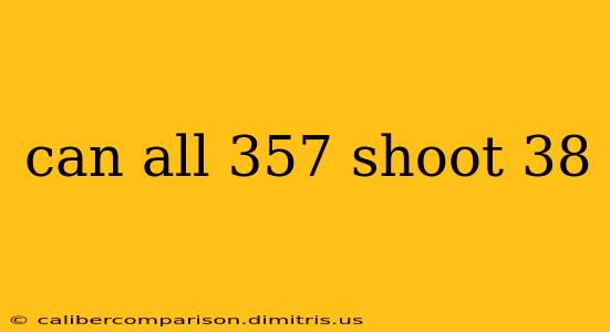 can all 357 shoot 38