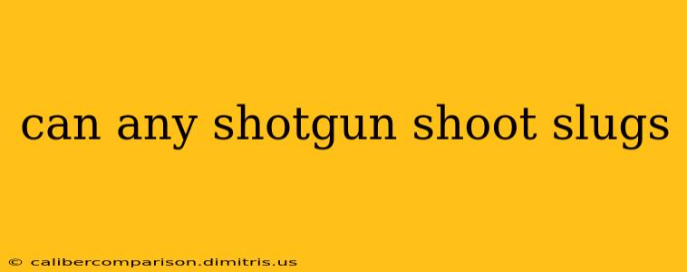 can any shotgun shoot slugs