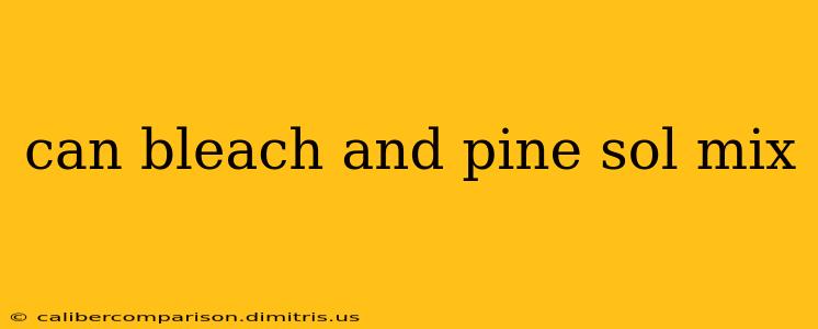 can bleach and pine sol mix