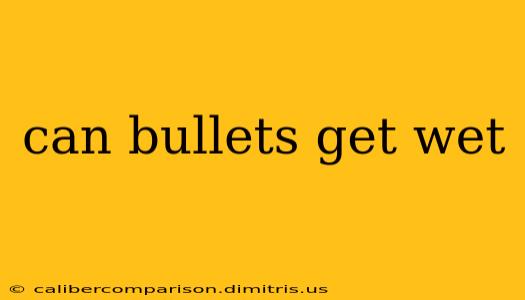 can bullets get wet