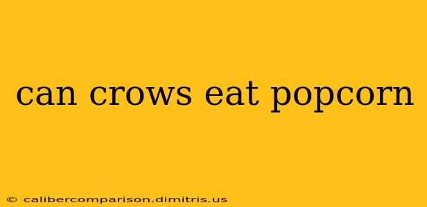 can crows eat popcorn