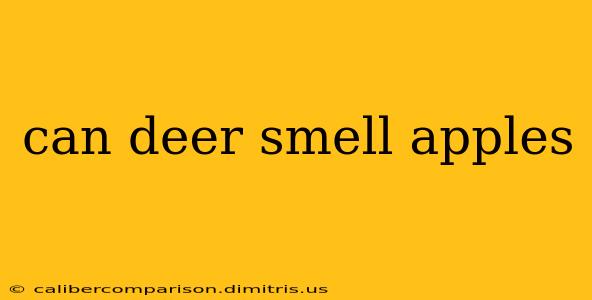 can deer smell apples