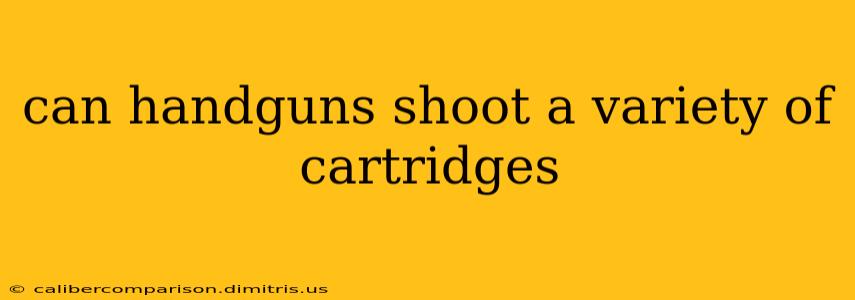 can handguns shoot a variety of cartridges