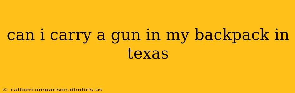 can i carry a gun in my backpack in texas