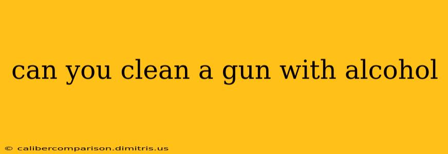 can you clean a gun with alcohol