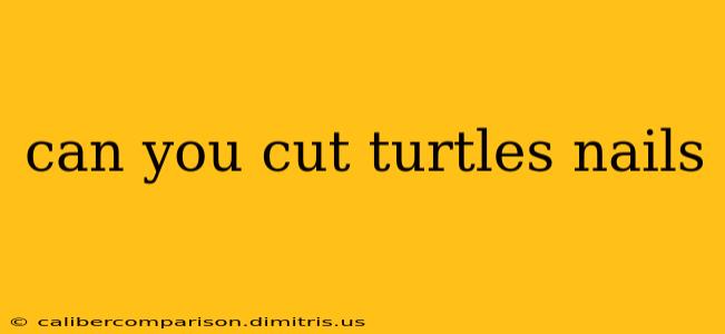 can you cut turtles nails