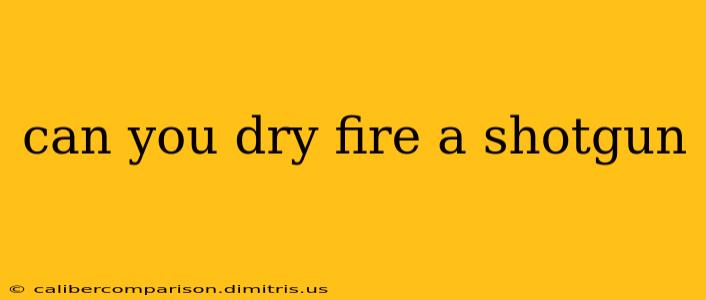 can you dry fire a shotgun