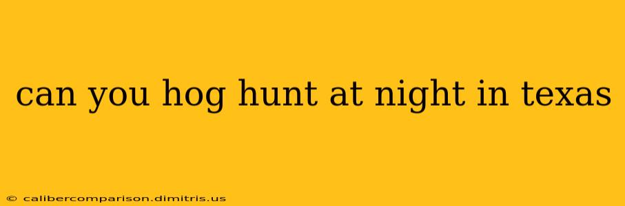 can you hog hunt at night in texas