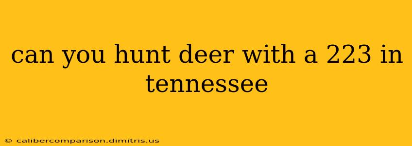 can you hunt deer with a 223 in tennessee