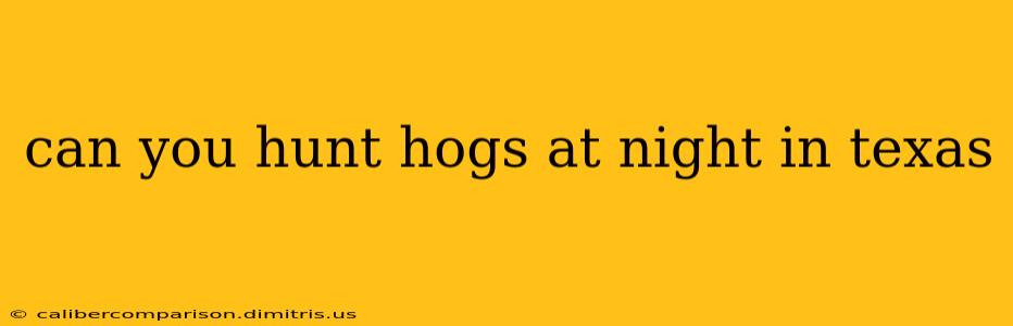 can you hunt hogs at night in texas