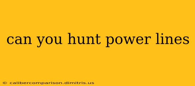 can you hunt power lines