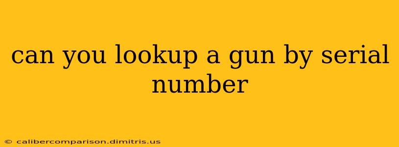 can you lookup a gun by serial number