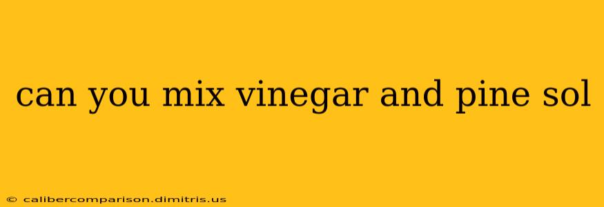 can you mix vinegar and pine sol