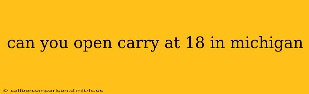 can you open carry at 18 in michigan